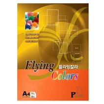 삼원 칼라복사용지 A4 80g 25매 칼라복사지, P43 오렌지색