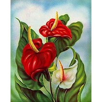 셀럽하우스 향기가득 안수리움 (패브릭) 보석십자수 40x50, 기본상품