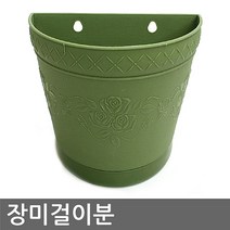 현hmvy_벽화분 인테리어 꽃화분 덩쿨 넝쿨 장미걸이 분갈이용 걸이용 원예♥sngr1, ♥jusngri!!