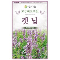 보리지 1g - 허브 허브씨 허브씨앗 씨 씨앗 보리지씨앗 보리지씨 꽃씨 꽃씨앗 허브꽃 Borage, 18_다농_캣닙(1g)