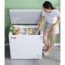 초소형 냉동고 얼음 음식 쓰레기 원룸 서브 냉동고, 58L