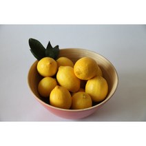 국내산 제주도 유기농 레몬 1kg 제주산 친환경