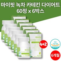 리얼 슬림 녹차 추출물 그린 카테킨 다이어트 환 정 알약 CATECHIN 무첨가물 20대 30대 40대 50대 60대 남성 여성, 6박스