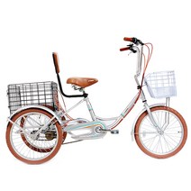 2023지오닉스나누미 성인세발자전거 성인삼륜자전거 알톤문흥 문휠 효도자전거 6단20인치 98%점검박스, 실버