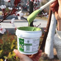 나무상처연고제 도포제 영양제 코팅제 접목 과수원, Senyou 500g 치유 에이전트 브러시, 500g, 1개