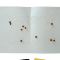 쥐 덫 쥐덧 쥐트랩 쥐끈끈이 쥐틀 퇴치 쥐잡이 쥐제거, 쥐덫-보급형