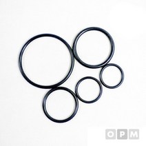 바이톤 오링 G계열 G-310/309.3 x 5.7