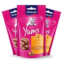 비타크래프트 캣얌 치즈 60g x 3개