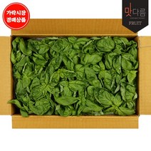 [가락시장 경매 식자재 채소] 바질 1kg내외, 1box