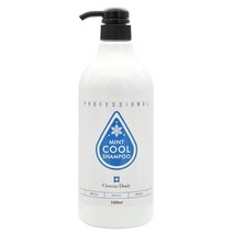 A_라샘 크리스챤 댄디 민트쿨샴푸 1000ml, 1