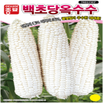 (성실)옥수수씨앗 백초당 옥수수 (100립) 2봉