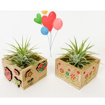 이오난사 우드 미니화분 만들기-5인세트#SumBmer2!@2237496EA