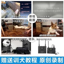 애완용훈련용품 송훈견 개를 길들이다 J기 음향 영화 애완동물 펫 피트니스기 골든 리트리버 덕 목마견 2186548530