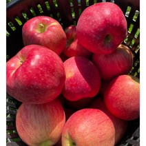 문경사과애 홍로 흠집사과 못난이사과 산지직송 청송사과 껍질채먹는 꿀사과 5kg 10kg 고랭지생산 문경사과축제 달콤 아삭, 정품꿀사과 12과