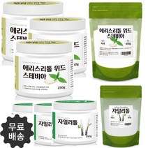 에리스리톨 스테비아가루 당뇨설탕 스위트 에리스톨 스테비오사이드 설탕대체 과당 대체당 효능, 3-1핀란드 자일리톨 350g 1통