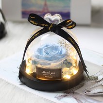 프리츠한센 이케바나 도자기 화병 항아리 독특한 유리 돔 장미와 조명 아름다운 야수 보존된 장미 발렌타인데이 선물, [32] sky blue