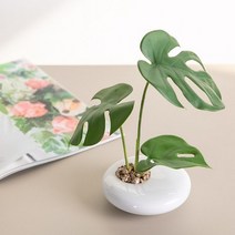 바보사랑 몬스테리아수반set 25cmP 조화 인테리어 장식 FMFUFT.플라워트리(무료배송), 조화수반