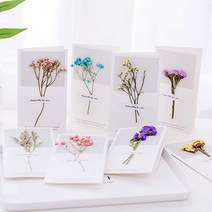 말린꽃카드/드라이플라워 카드/프리저브드플라워 카드*, 노랑꽃