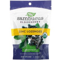 Nature's Way Sambucus Zinc Lozenges Peppermint 24 Lozenges, One Color, One Size