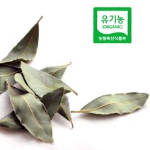 엔젤농장 유기농 국산 월계수잎, 유기농 월계수잎 10g, 10g