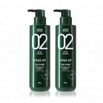 [KT알파쇼핑]아모스 녹차실감 샴푸 지성용 500g 1+1