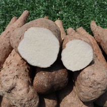 안동 신토불이 장마 알뜰마, 알뜰 장마 2kg, 1개