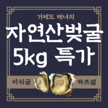 벚굴 벗굴 자연산 거제도 바위굴 하프쉘 석화 5kg, 하프쉘바위굴