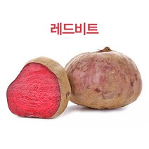 [한아름드린] [농협] 국내산 레드비트 3kg(개당중량180-300g), 상세 설명 참조
