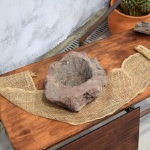 식집사 취미 DIY 석부작 화산석 화분 4호 공기청정 냄새제거