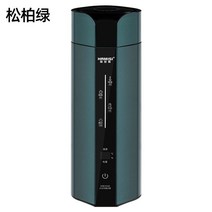 카포트 충전용 커피포트 차량용 자동차 전기 USB, 단일사이즈, 그린