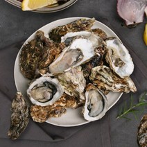 남해직송 통영 굴 석화 찜 구이용 각굴, 6. 석화 10kg (특가)