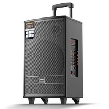 매장 스피커 버스킹 야외 행사용 야외용 행사 무선, 12인치스피커+무선마이크2개+16GUSB