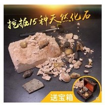 암모나이트화석 발굴키트 유물 발굴 화석 키트 고대유물 세트, 15종 발굴