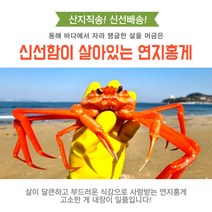 포항 대게 맛집 붉은 홍게 (영덕 울진 포항 연지 박달 3kg), 1.육수용홍게다리1kg