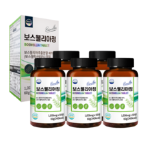 웰리즈 프리미엄 인도산 보스웰리아 1000mg X 60정, 5+1개(12개월분) 300정 22% 추가할인