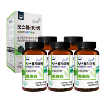 웰리즈 프리미엄 인도산 보스웰리아 1000mg X 60정, 5개(10개월분) 300정 22% 추가할인