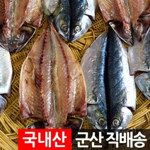 장스토어 국산 반건조 고등어 5마리 1.3kg 고갈비 군산직송, 1세트, 고갈비 5미 1.3kg 내외
