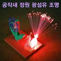 오피스안 공작새 정원 광섬유 조명 만들기