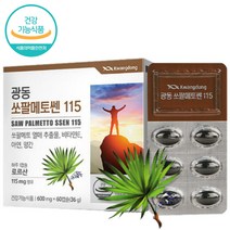 광동 쏘팔메토 쎈 115 120캡슐 아연 망간 로르산 옥타코사놀 L아르기닌 복합, 단품