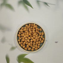 로스티드 피넛 베트남땅콩 최상품, 로스티드피넛500g, 1개