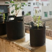 베란다 성장 텃밭농장 부직포화분 2갤런 그로우백 틀밭 빠른성장 산소공급