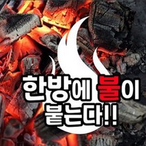 점화&구이용&착화탄 친환경 착화숯 한방에 3초 OK 300g 장작 바베큐 천연숯 야자숯
