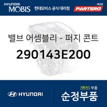 밸브-퍼지 콘트롤 (290143E200) 현대모비스 부품몰 그랜저TG