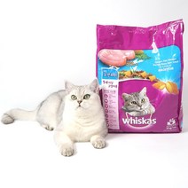 희동이네 고양이 사료 위스카스 팩 오션피쉬 3kg 기호성좋은 프리미엄 고양이 사료, 3개