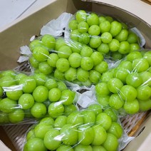 비씨컴퍼니 프리미엄 고당도 샤인머스켓 망고포도, 2kg (3~4수 특품), 1개