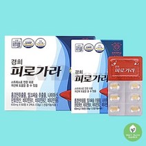 밀크씨슬 간건강 홍경천추출물 나이아신 판토텐산 밀크시슬 현대인 직장인 스트레스 피로 개선
