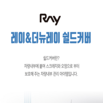 이투피 레이&더뉴레이 전용 스크레치방지 쉴드커버, 도어스텝, 기아