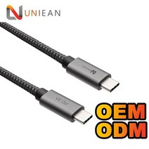 데이터 비디오 전송 Gen2 충전 케이블 c타입c타입으로 USB c타입 3A PD, 02 Custom