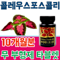 식품 안정선 검사 통과한 힐링 콜레우스 포스콜리 콜리우스 포스코리 간편하게 먹는 무 부형제 스테아린 마그네슘 이산화규소 없는 무첨가 타블렛 파는곳 추천, 10