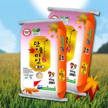 [정읍지정특산물] 21년 햅쌀 단풍미인 쌀(신동진) 10kg 20kg